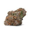 Buy Gelato Cake Strains Online