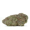 blackberry-strain strain