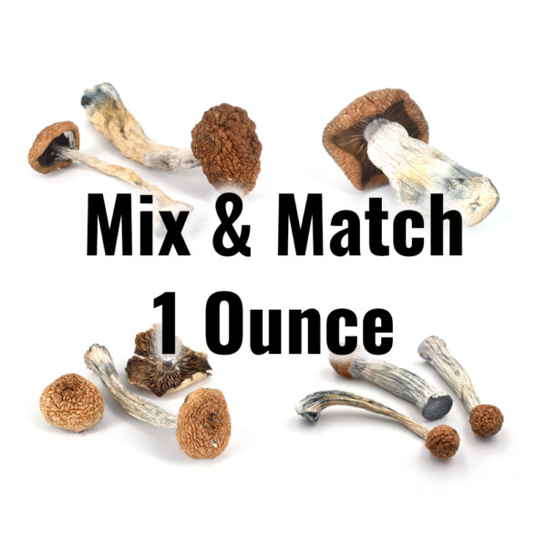 1 Ounce with 4 Strains – Magic Mushrooms – Mix & Match